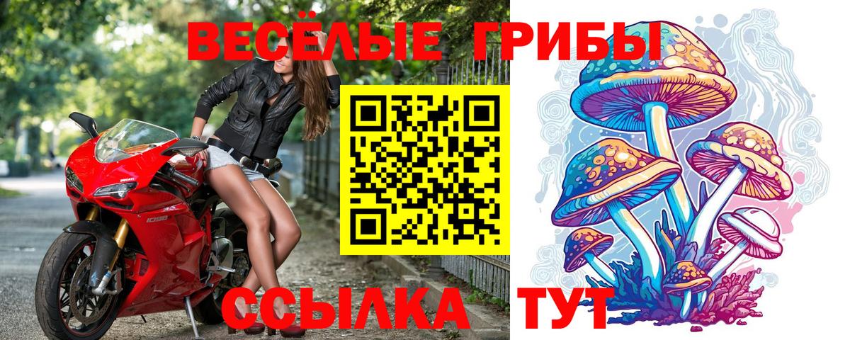 Галлюциногенные грибы GOLDEN TEACHER Ишим