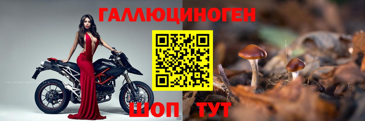 Ишим  Галлюциногенные грибы мухоморы  Вход с VPN  Галлюциногенные грибы мухоморы 